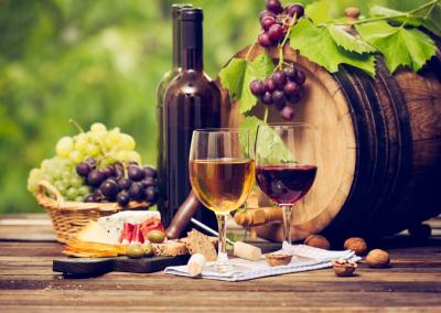 Top Tips and Questions to Ask When Visiting a Winery